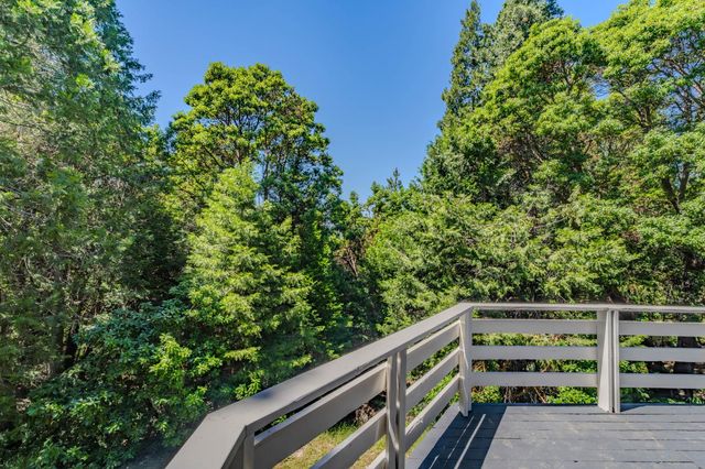 15853 Schaefer Ranch Rd, Pioneer, CA 95666