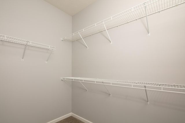 119 Nathan Hale Drive, Georgetown, KY 40324