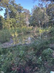 135 MADDOX ROAD, Piedmont, AL 36272