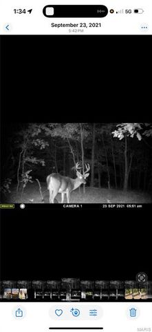 3014 County Road 2330, Salem, MO 65560