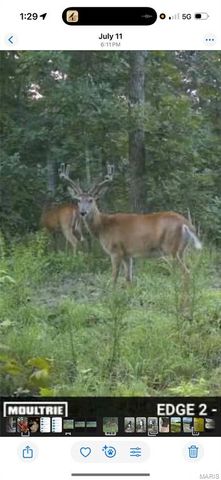 3014 County Road 2330, Salem, MO 65560