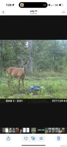 3014 County Road 2330, Salem, MO 65560