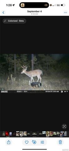 3014 County Road 2330, Salem, MO 65560