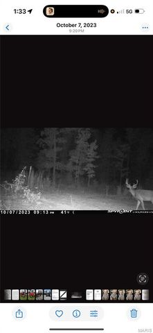 3014 County Road 2330, Salem, MO 65560