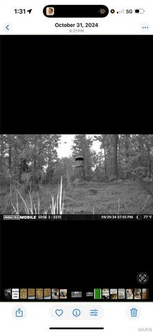 3014 County Road 2330, Salem, MO 65560