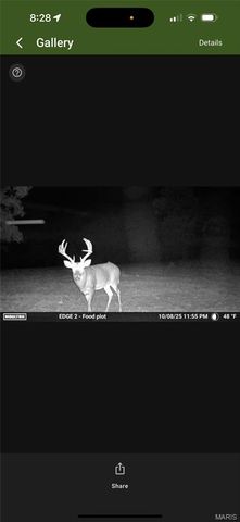 3014 County Road 2330, Salem, MO 65560