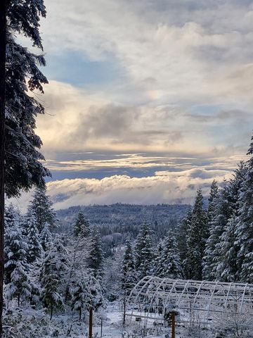 1212 Moody Ridge Rd, Alta, CA 95701