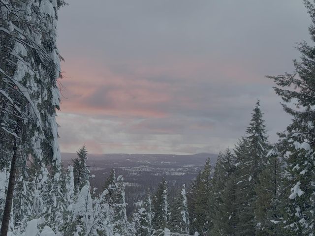 1212 Moody Ridge Rd, Alta, CA 95701