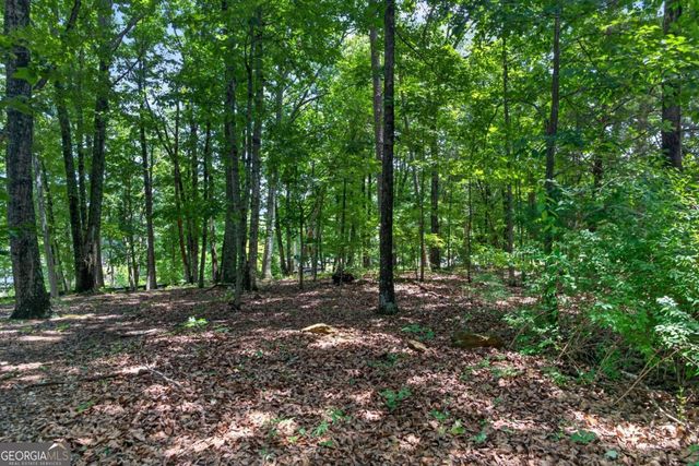 2729 Arbor Hill Road, Canton, GA 30115