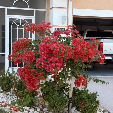 822 NW Sorrento Lane, Port St. Lucie, FL 34986