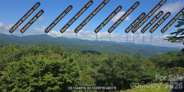 2618 Big Sheepcliff Road, Cashiers, NC 28717