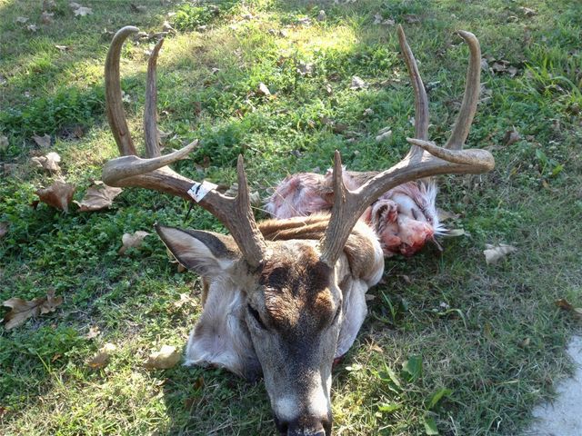 180 County Road 531, Mullin, TX 76864