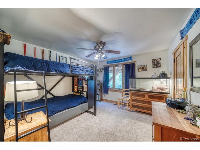 18525 Via Ponderosa Dr, Buena Vista, CO 81211