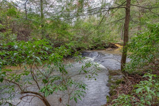 129 Circle Rd, Deer Lodge, TN 37726
