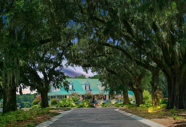 101 Chancellors Drive, Summerville, SC 29485