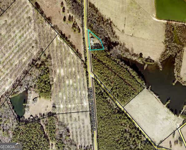 977 Cedar Crossing Vidalia Road, Vidalia, GA 30474