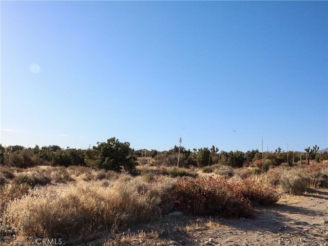 1 Pine Tree Road, Pinon Hills, CA 92372
