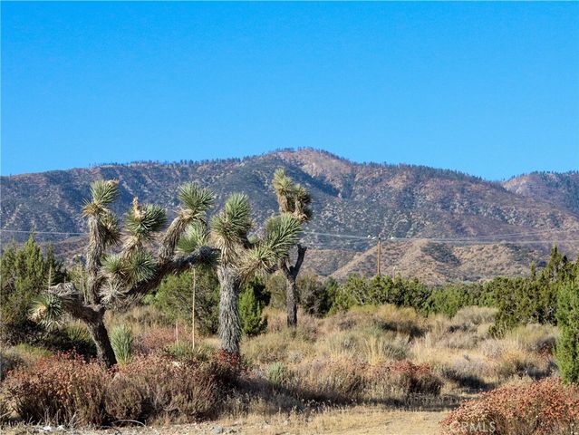 1 Pine Tree Road, Pinon Hills, CA 92372