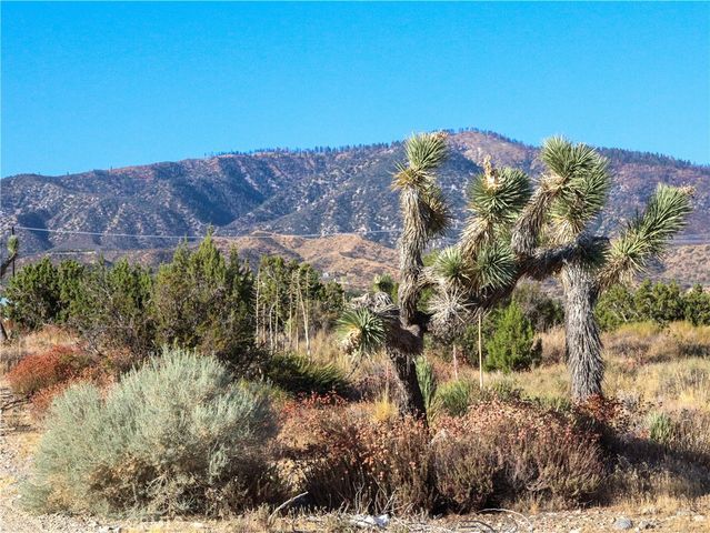 1 Pine Tree Road, Pinon Hills, CA 92372