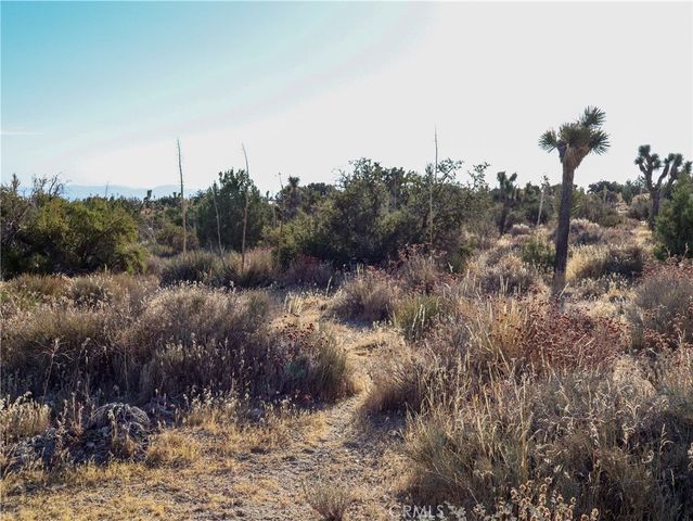1 Pine Tree Road, Pinon Hills, CA 92372