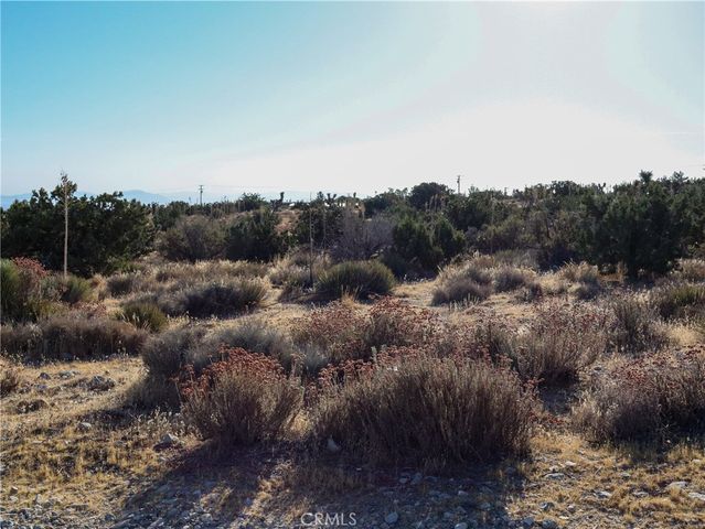 1 Pine Tree Road, Pinon Hills, CA 92372
