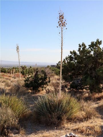 1 Pine Tree Road, Pinon Hills, CA 92372