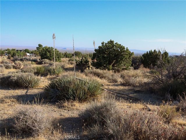 1 Pine Tree Road, Pinon Hills, CA 92372
