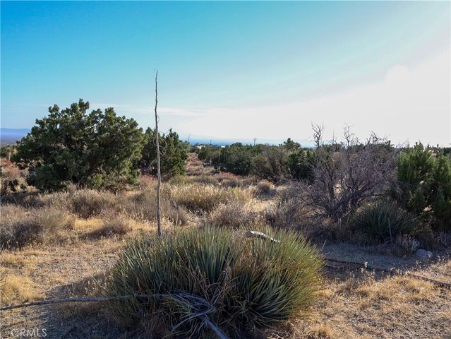1 Pine Tree Road, Pinon Hills, CA 92372