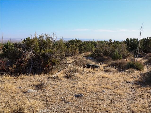 1 Pine Tree Road, Pinon Hills, CA 92372