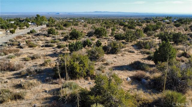 1 Pine Tree Road, Pinon Hills, CA 92372