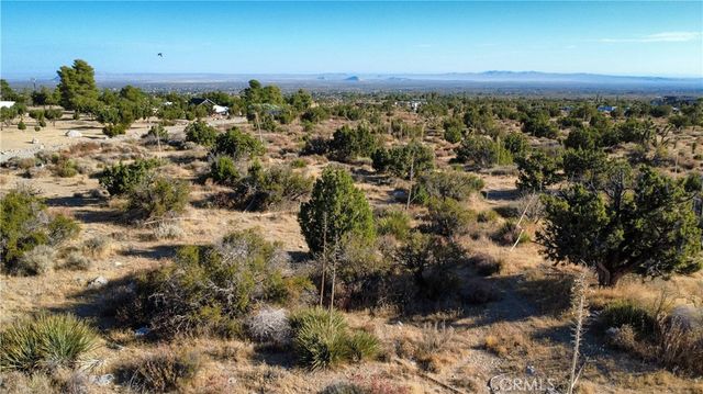 1 Pine Tree Road, Pinon Hills, CA 92372