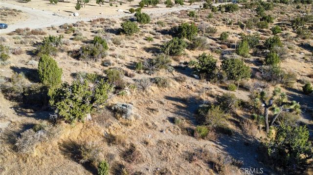 1 Pine Tree Road, Pinon Hills, CA 92372