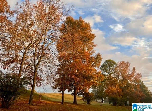 493 SUNBELT PARKWAY, Birmingham, AL 35022