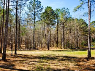 470 Hagler Ridge Rd, Springville, TN 38256