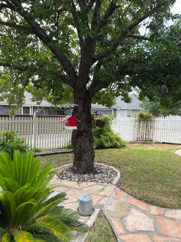 528 Jo Lynn, New Braunfels, TX 78130