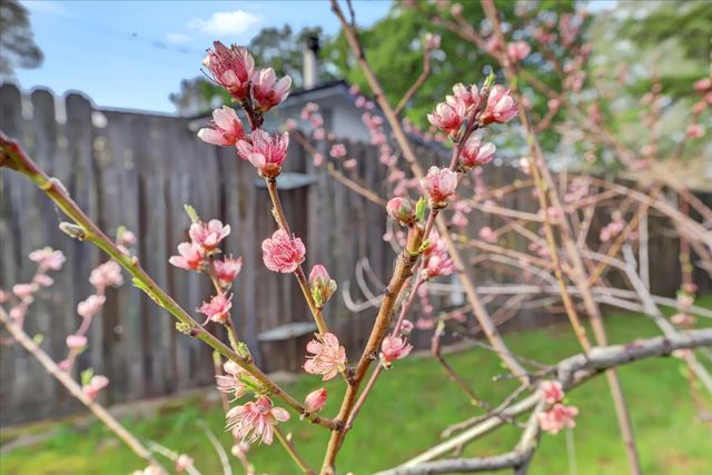 12383 Rough And Ready Hwy, Grass Valley, CA 95945