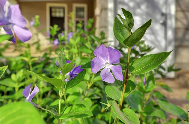 12383 Rough And Ready Hwy, Grass Valley, CA 95945