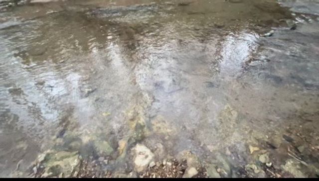 0 Boatman Rd, Cookeville, TN 38506