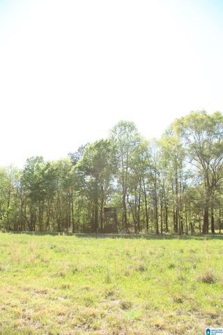 4820 COUNTY ROAD 22, Ashville, AL 35953