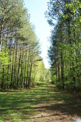 4820 COUNTY ROAD 22, Ashville, AL 35953
