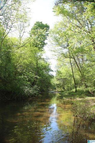 4820 COUNTY ROAD 22, Ashville, AL 35953