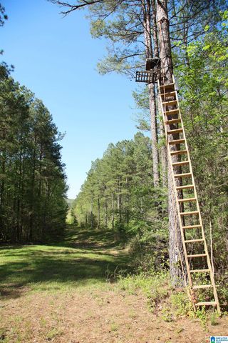 4820 COUNTY ROAD 22, Ashville, AL 35953