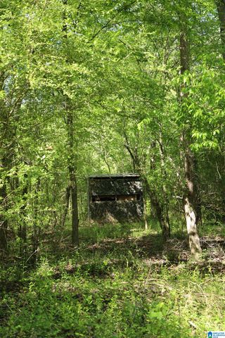 4820 COUNTY ROAD 22, Ashville, AL 35953