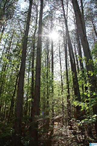 4820 COUNTY ROAD 22, Ashville, AL 35953