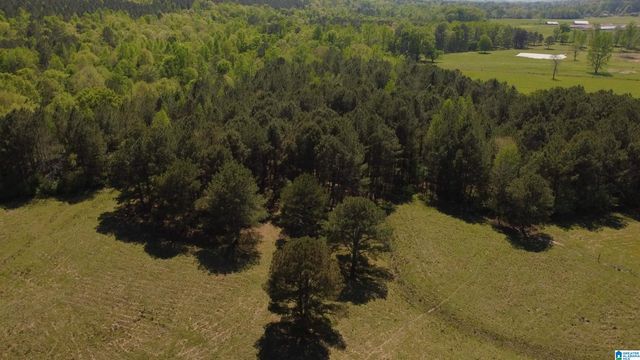 4820 COUNTY ROAD 22, Ashville, AL 35953