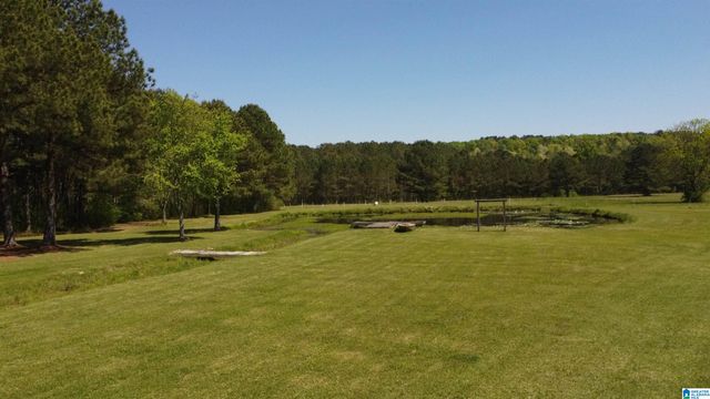 4820 COUNTY ROAD 22, Ashville, AL 35953