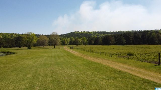 4820 COUNTY ROAD 22, Ashville, AL 35953