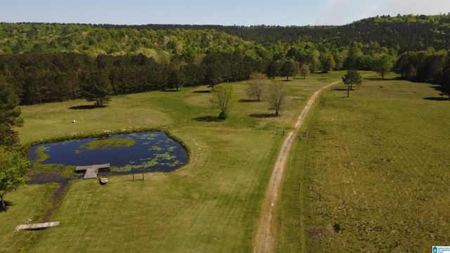 4820 COUNTY ROAD 22, Ashville, AL 35953