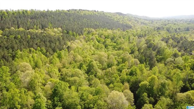 4820 COUNTY ROAD 22, Ashville, AL 35953
