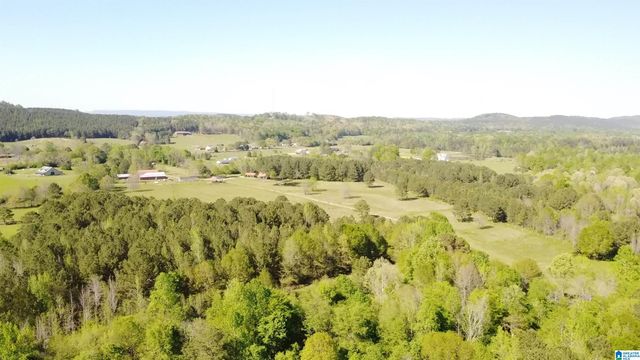 4820 COUNTY ROAD 22, Ashville, AL 35953